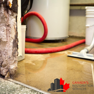 How To Get A Water Damaged Basement Repaired In Toronto