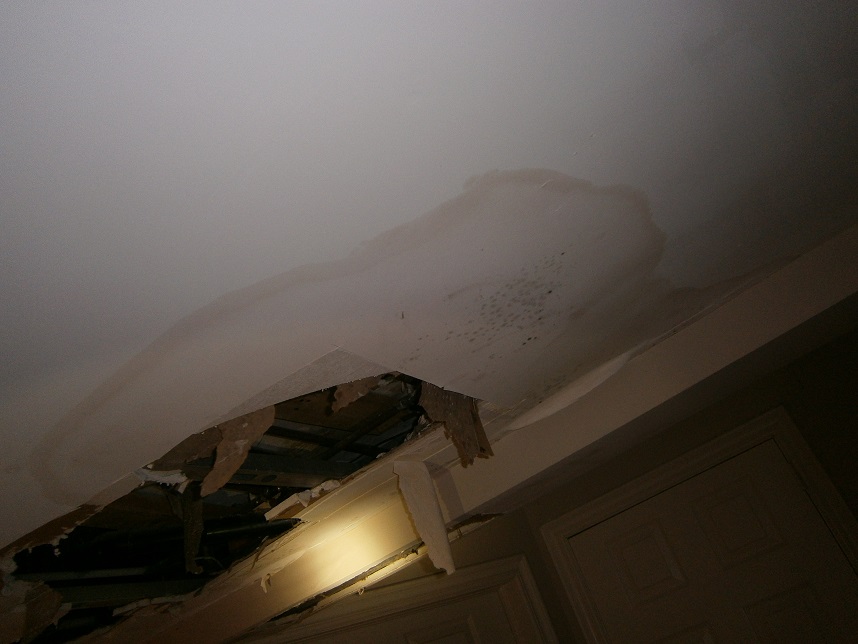 Mold Growth Due To Water Damage